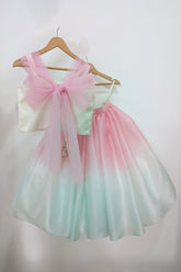 Butterfly top with Ombre lehenga set